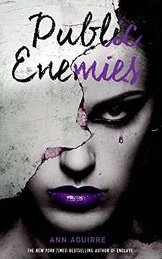 Public Enemies