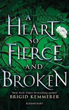 A Heart So Fierce and Broken