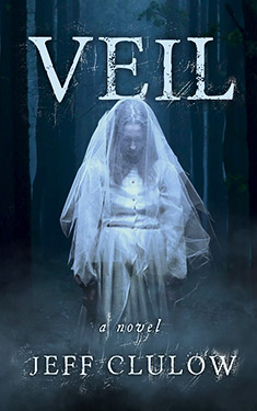 Veil:  A Novel