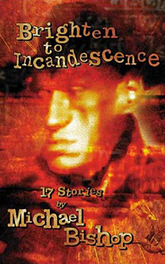 Brighten to Incandescence:  17 Stories