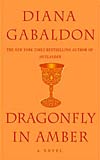 Dragonfly in Amber