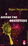 A Mirror for Observers