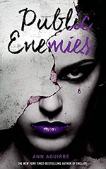 Public Enemies