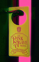 The Pink Agave Motel and Other Stories Cover